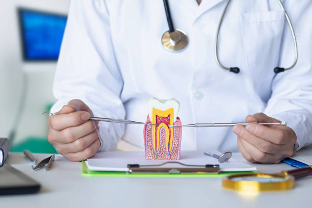 Best Emergency Root Canal Treatment in Kerens, TX